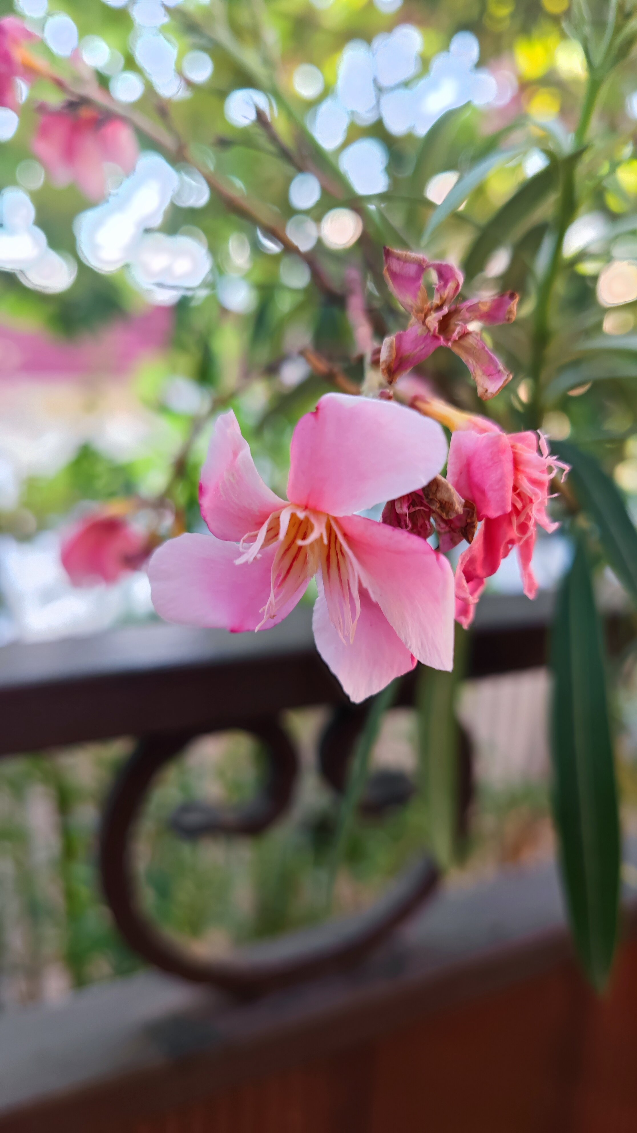 Фото Гостевой дом у Руслана