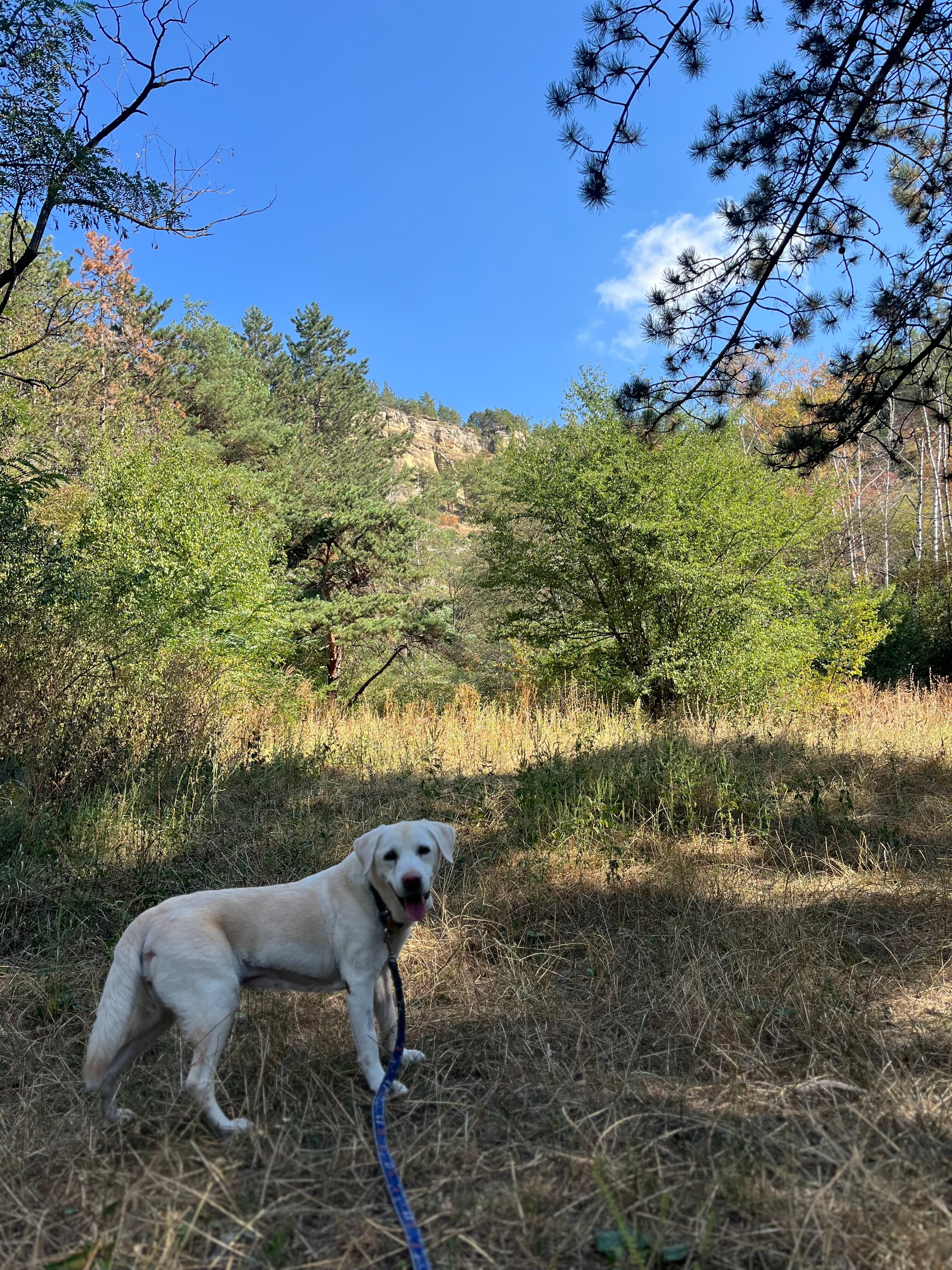 Фото Дом Гостей