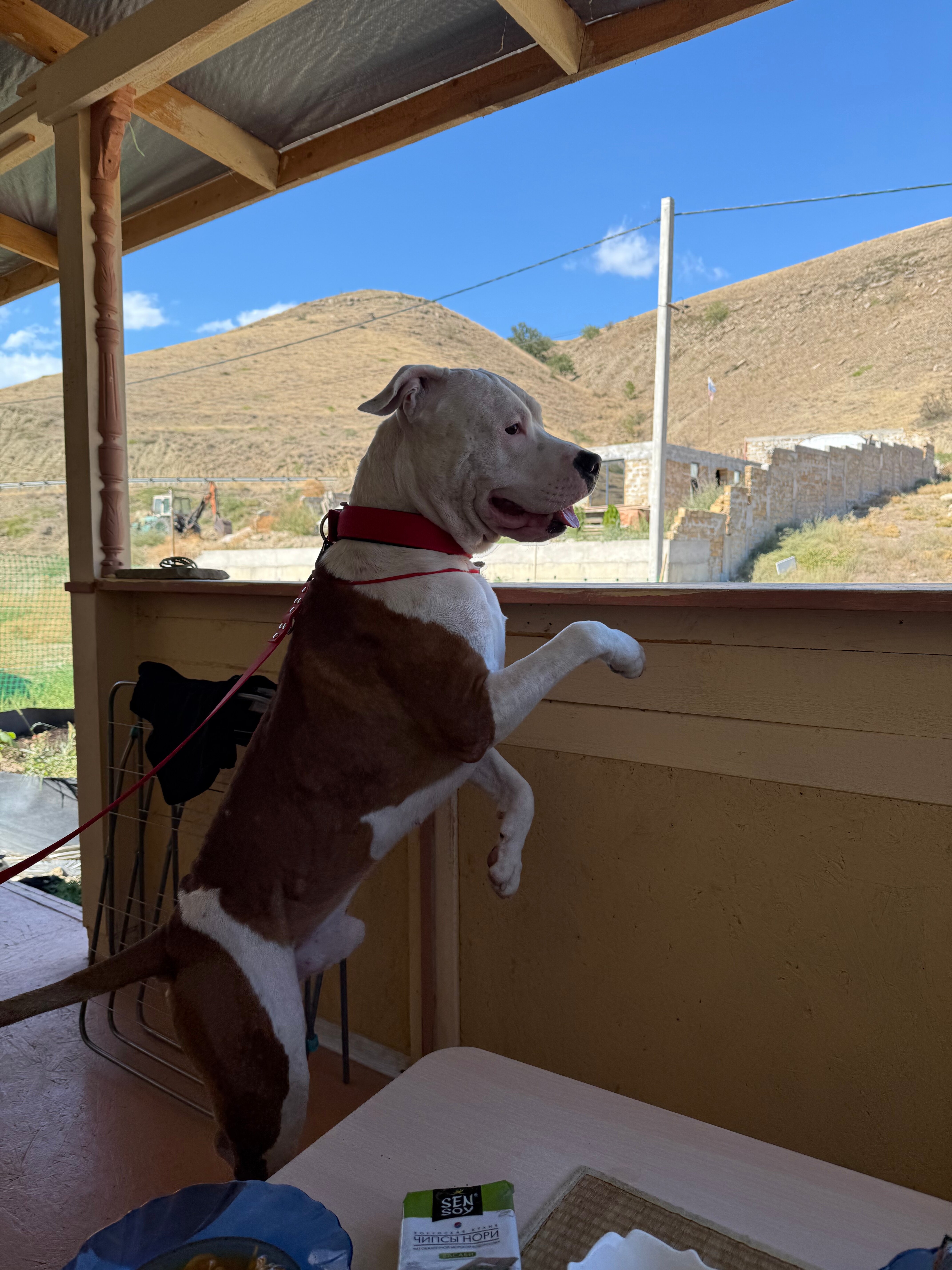 Фото Домик в Бугазе