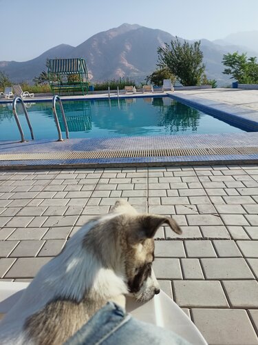 Nustler TV porno onlayn