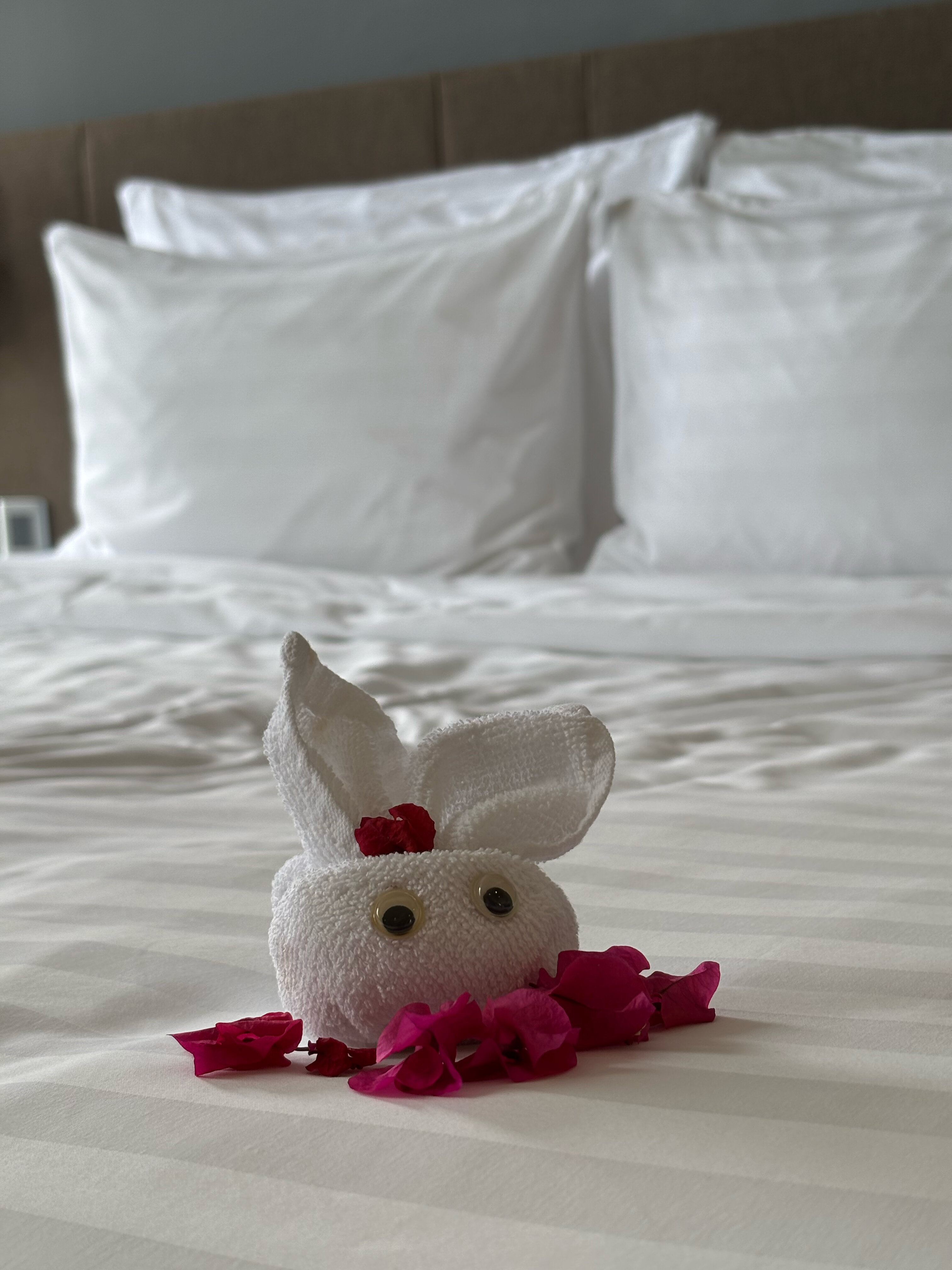 Фото DQua Hotel and Apartment