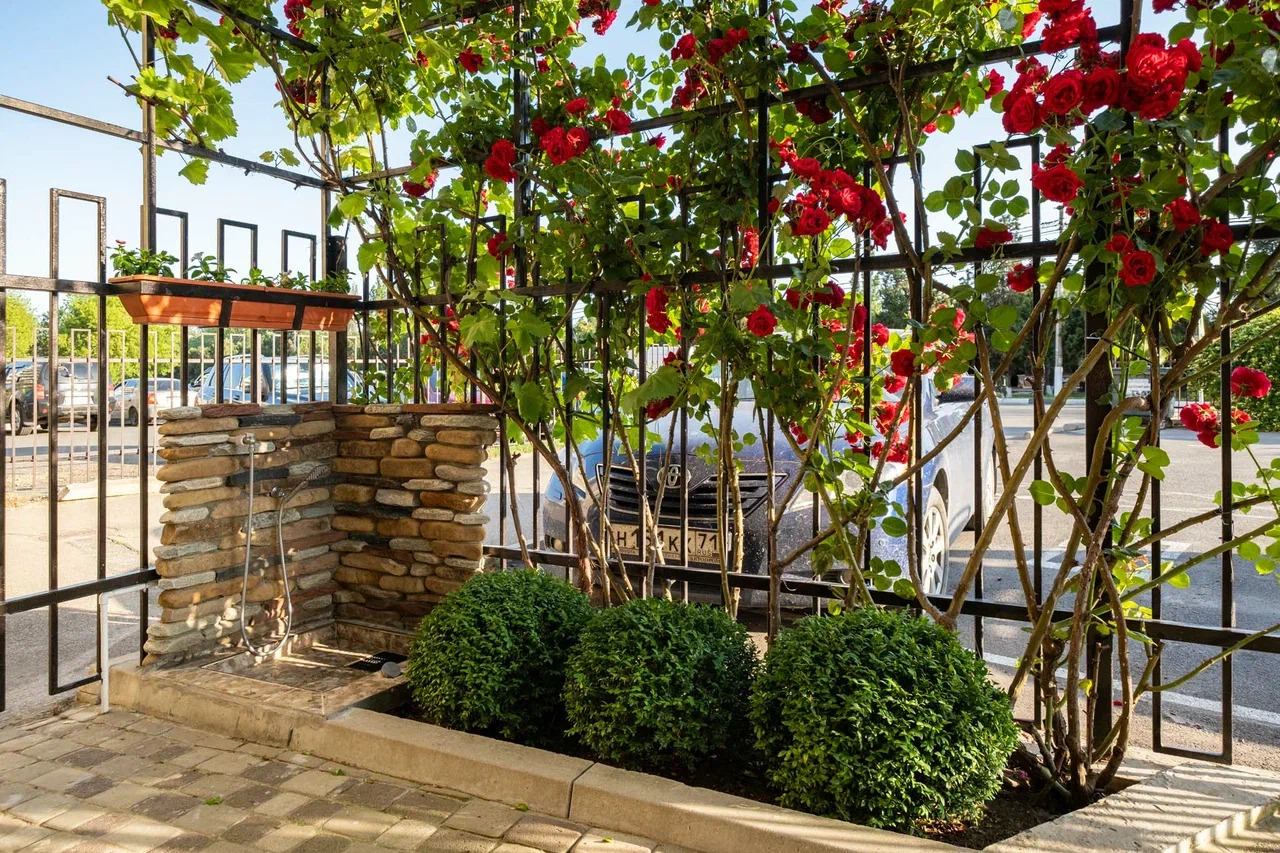 Фото Катран