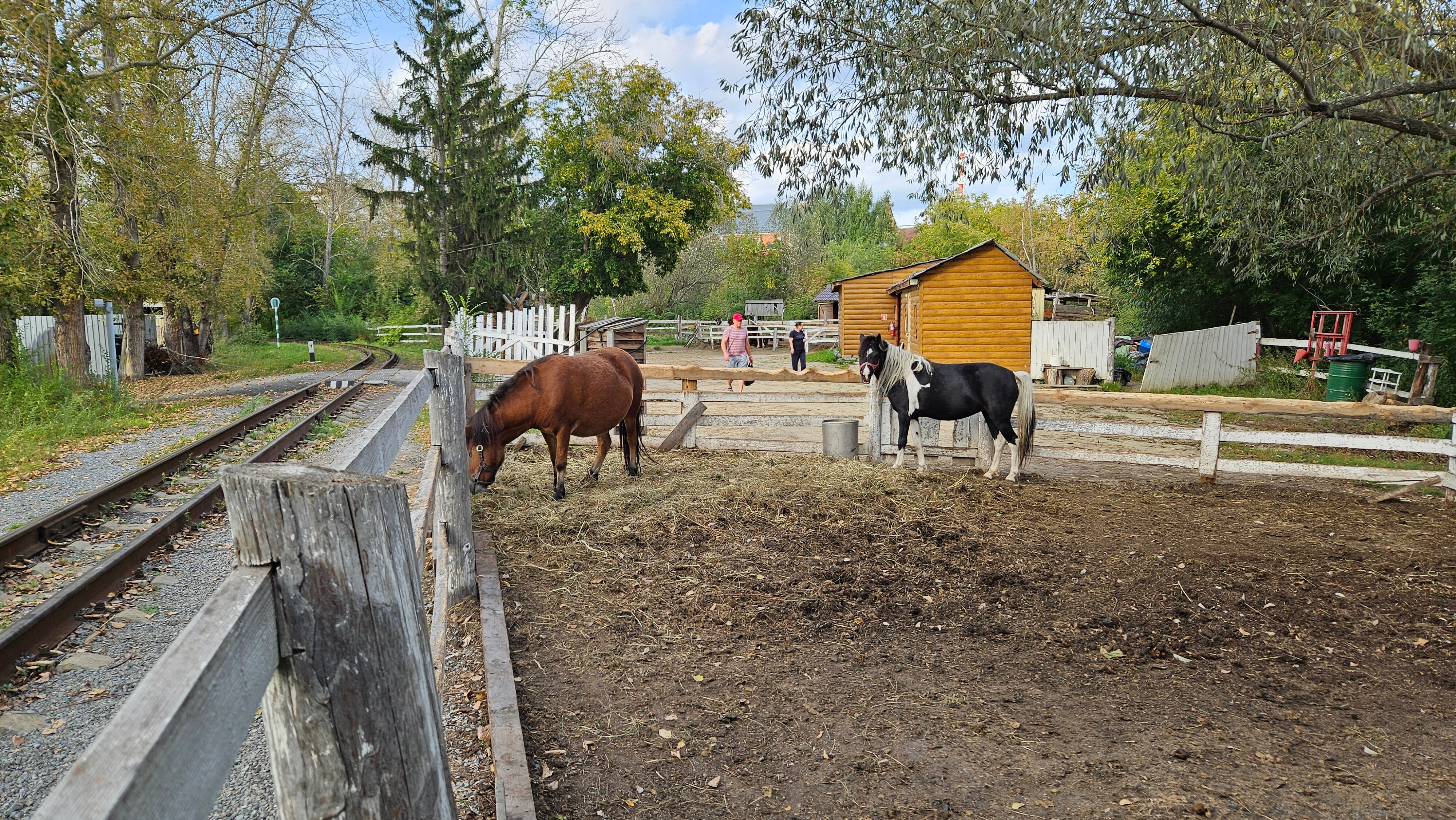 Фото Гостиница Москва