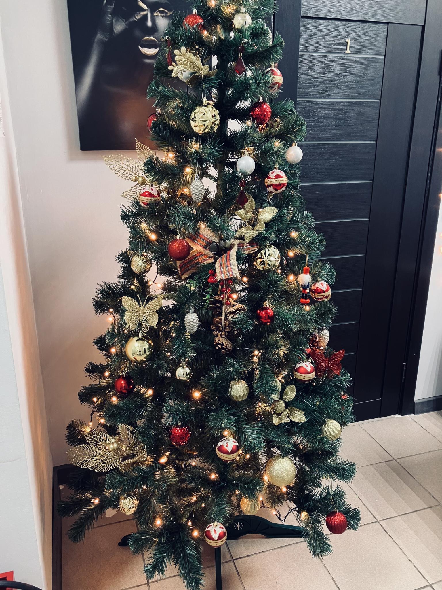 Фото ЯРхостел