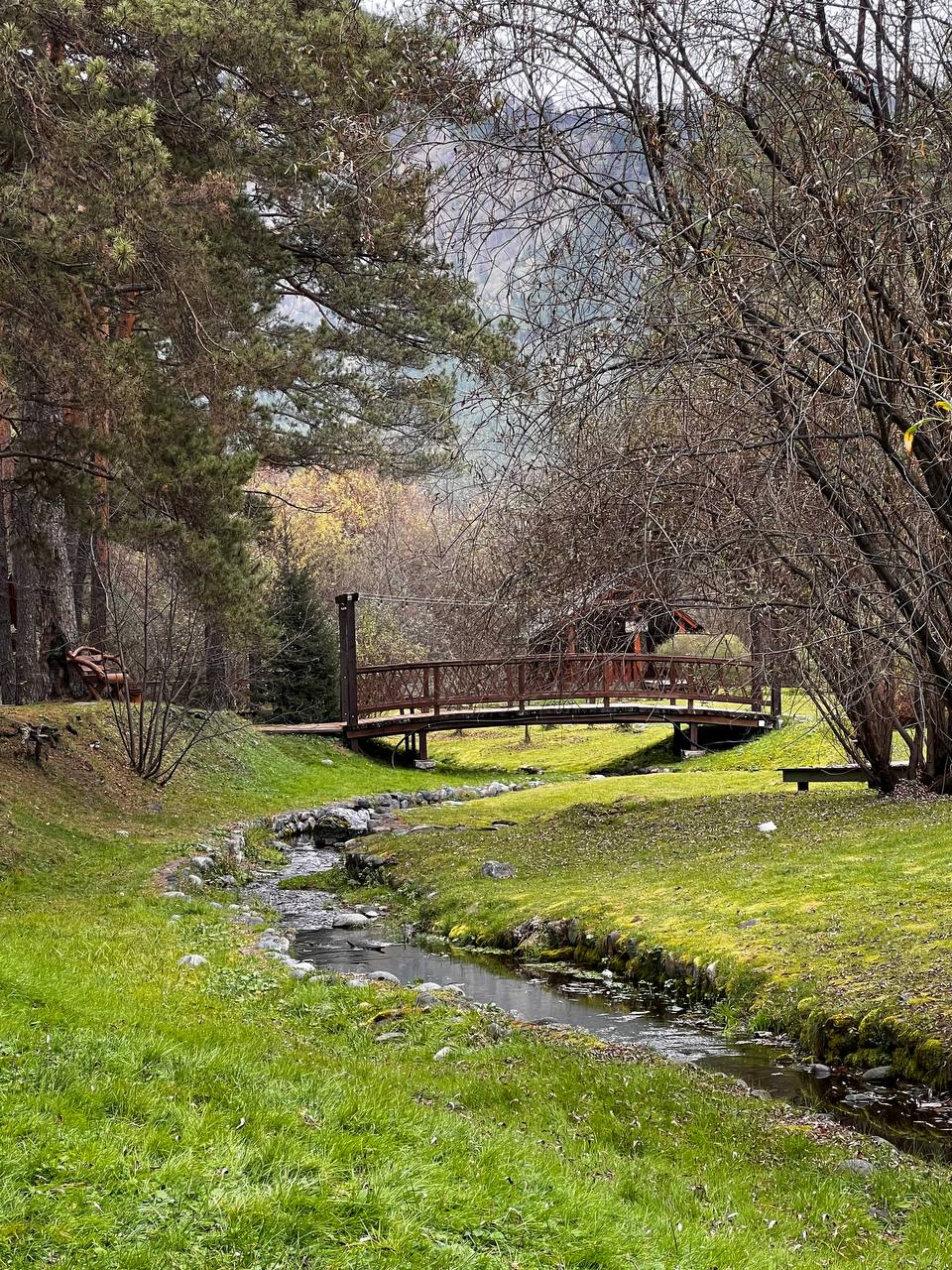 Фото Деревня Берендеевка