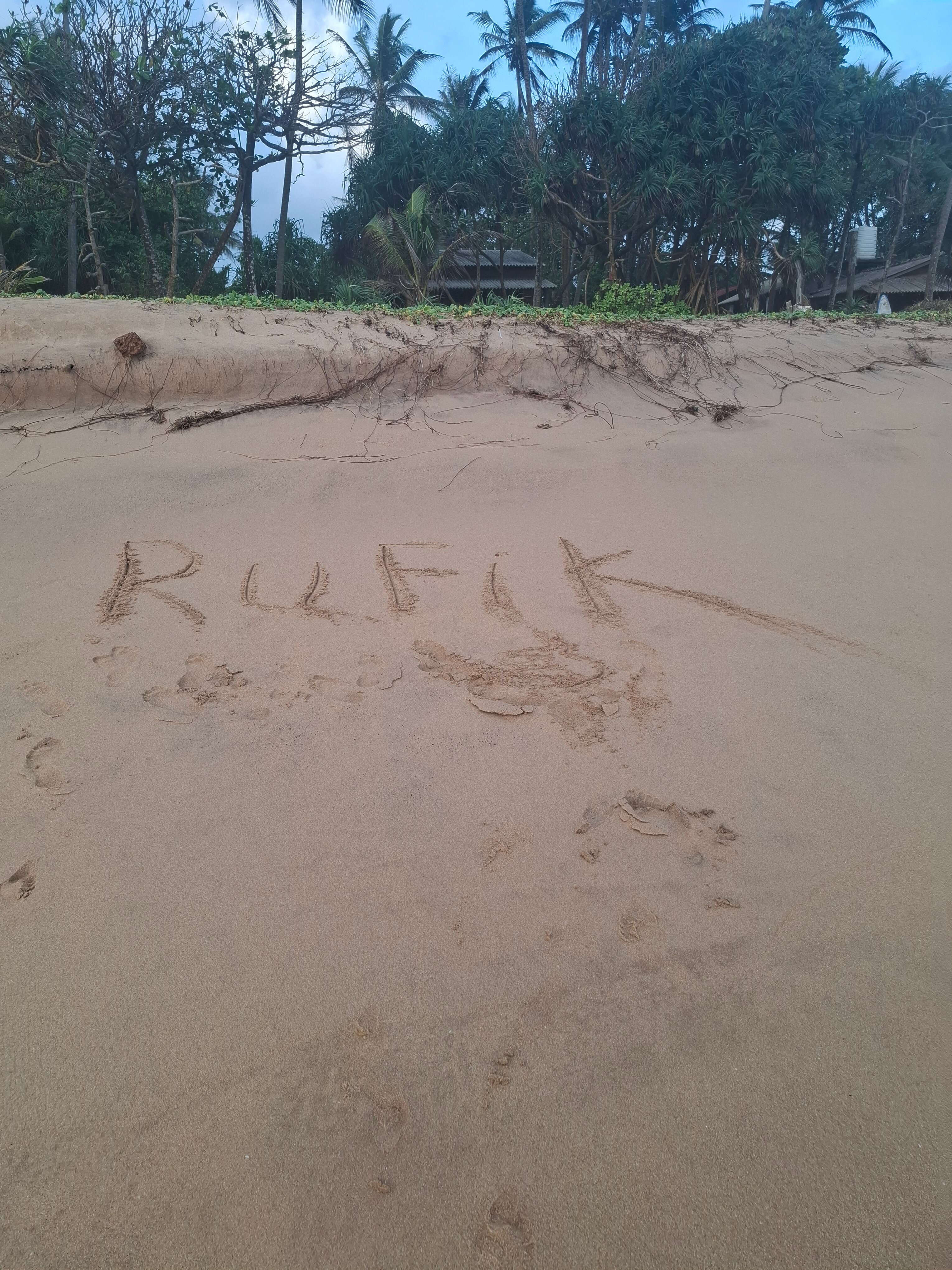 Фото Lucky Elephant