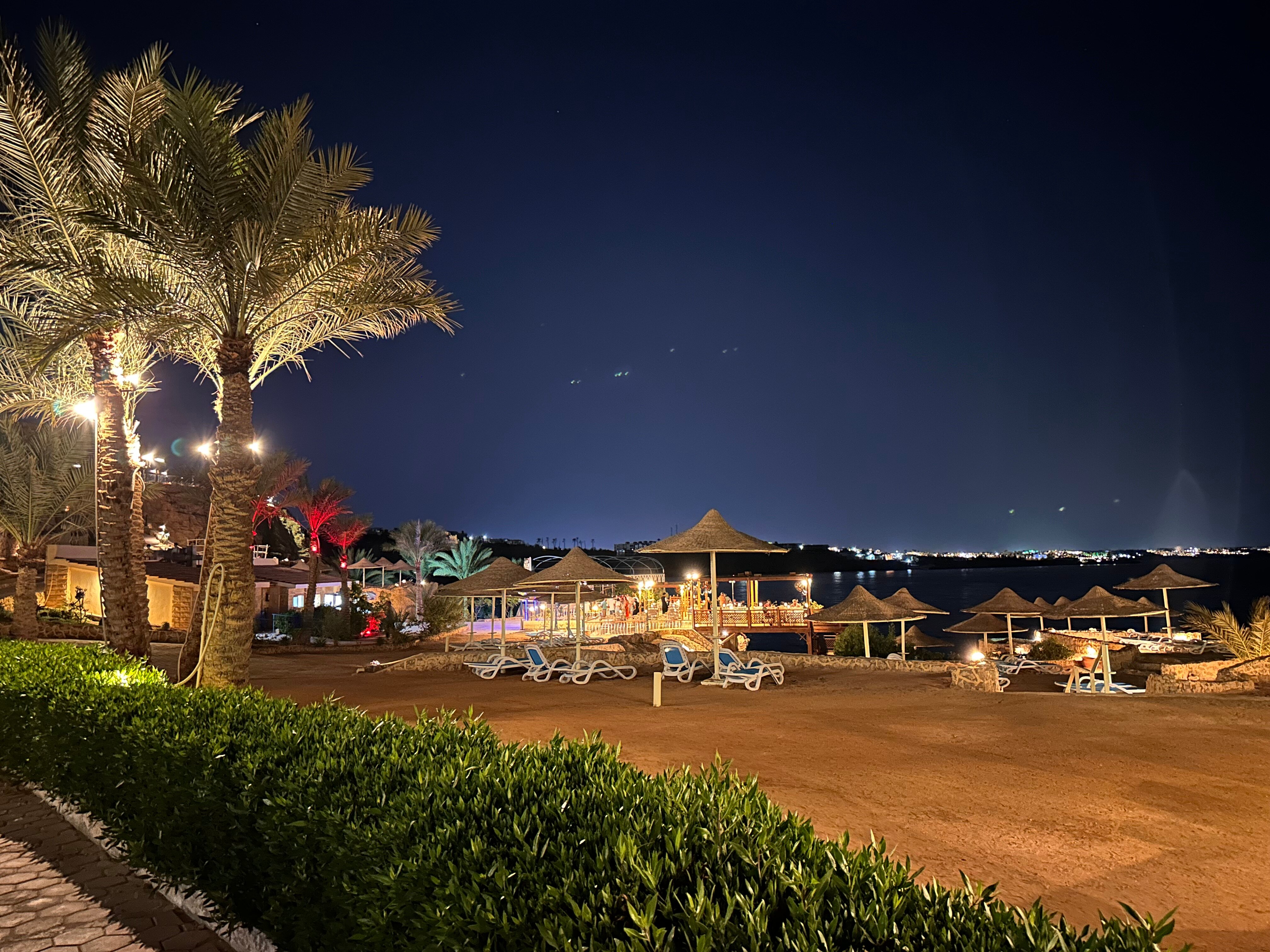 Фото Dreams Vacation