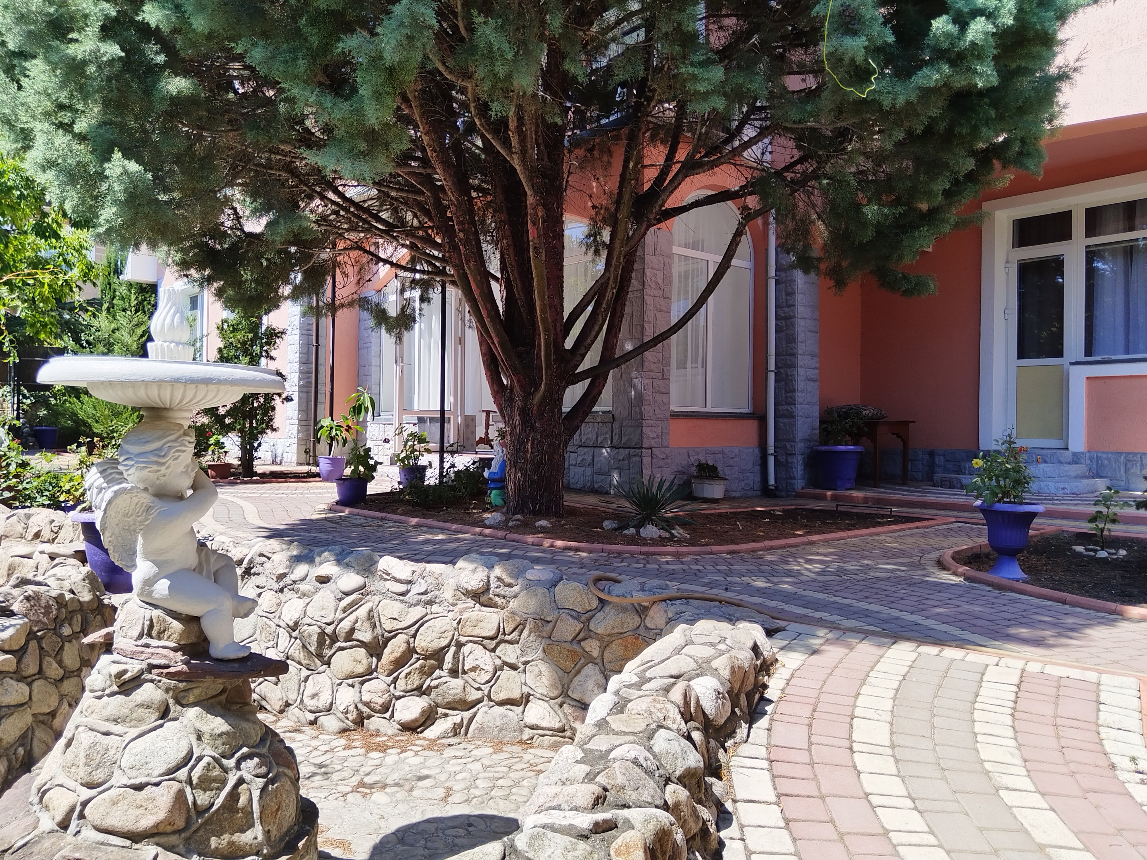 Фото Mango Hotel