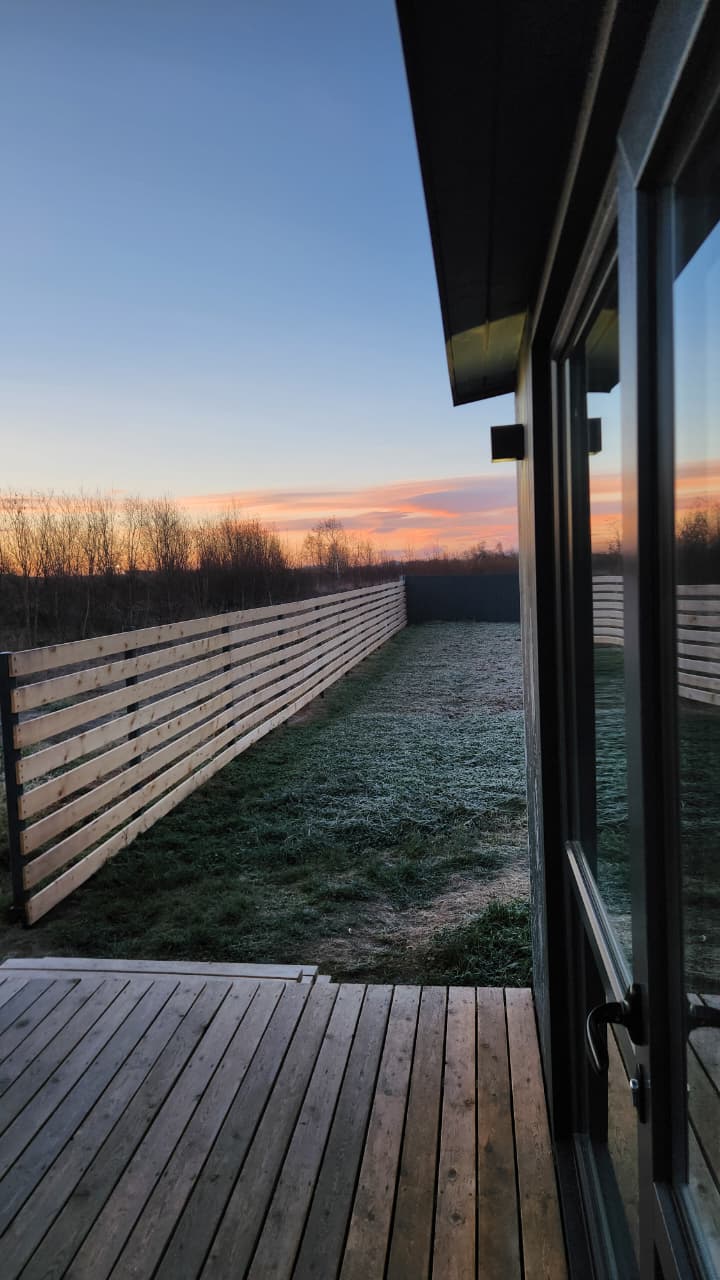 Фото Жимолость