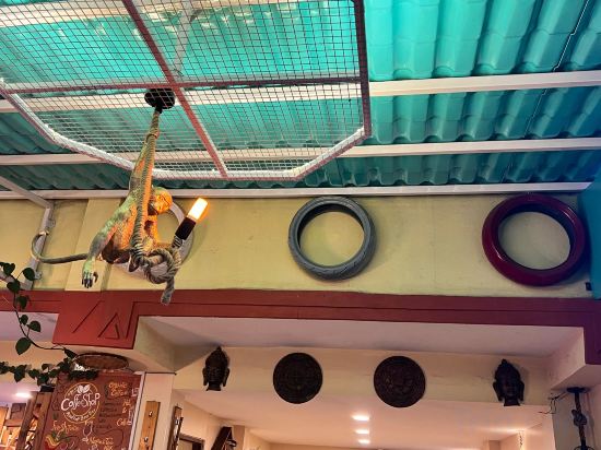 Фото Holiday Hostel