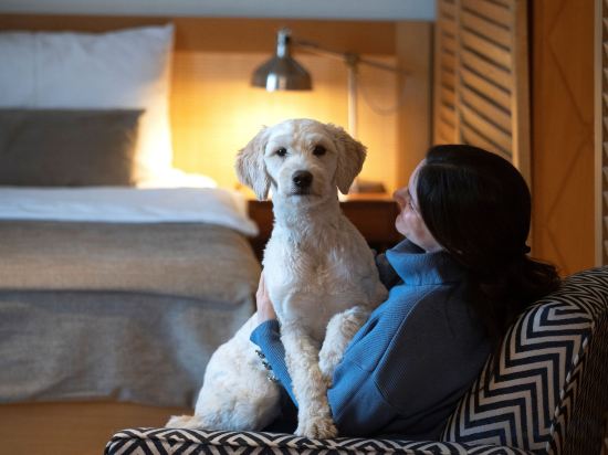 Фото Mercure Belgrade Excelsior