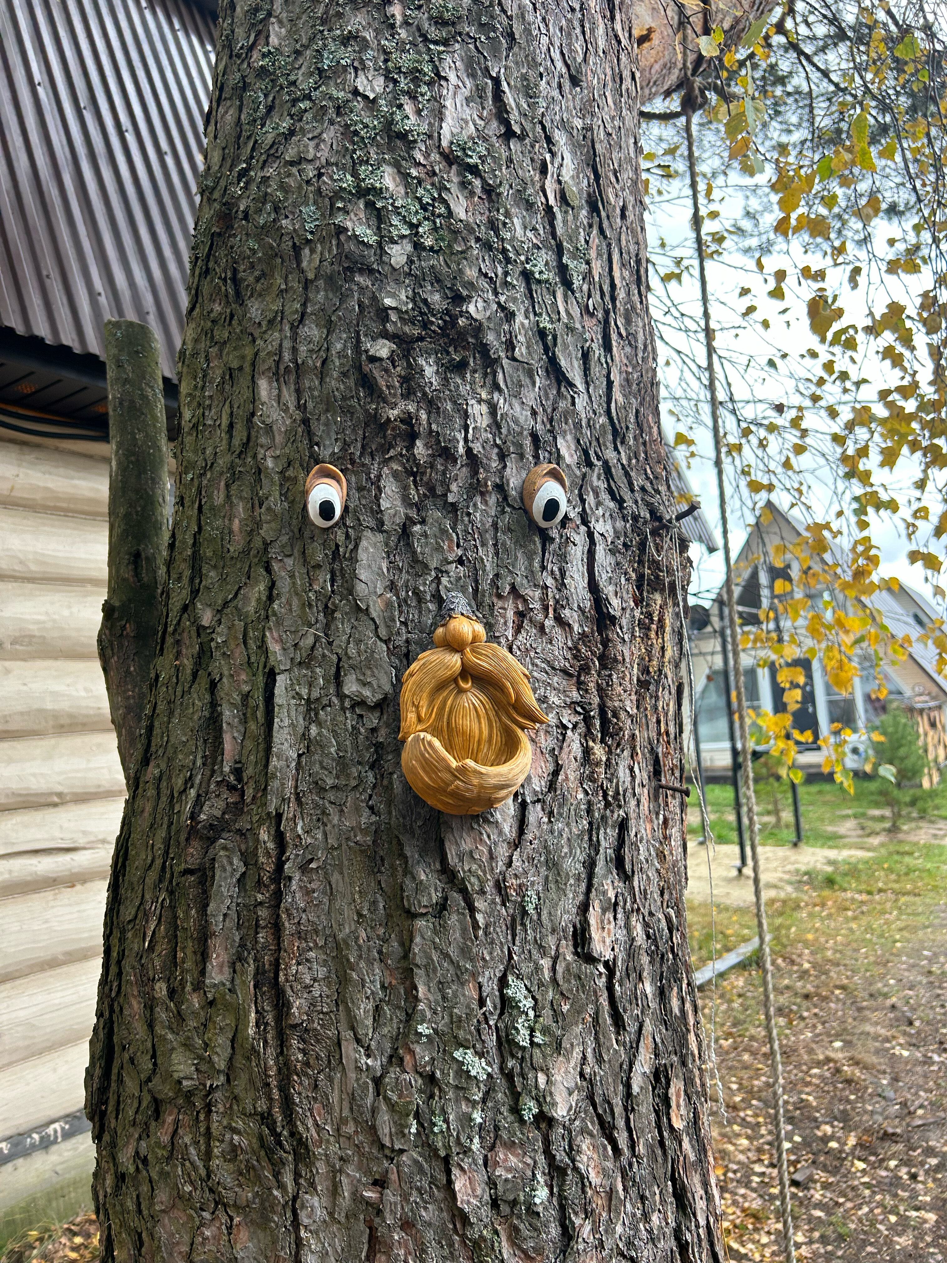 Фото У Лешего