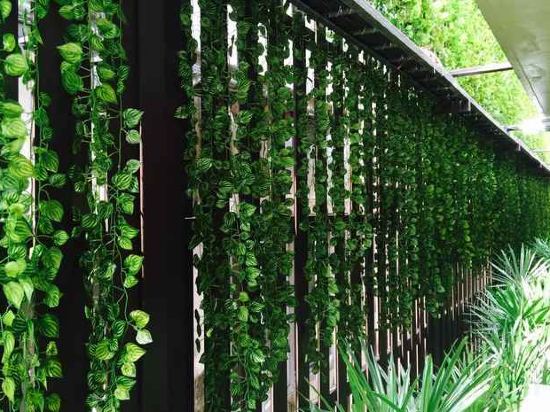 Фото Jj Residence