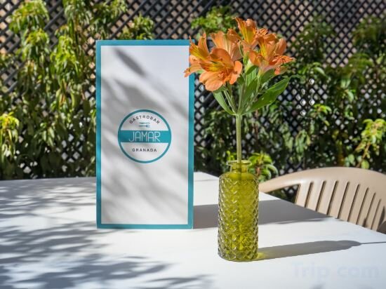 Фото Occidental Granada