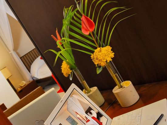 Фото Nomad Hub Canggu-Bali