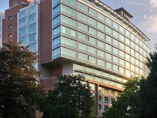 Фото Hilton Frankfurt City Centre