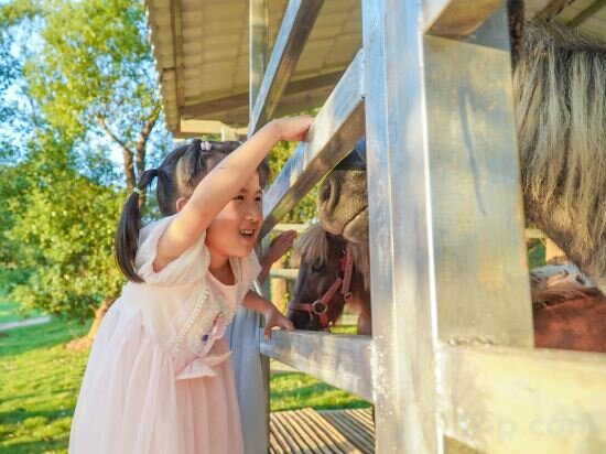 Фото Four Points by Sheraton Heyuan Resort