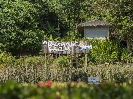 Фото TreeHouse Villas