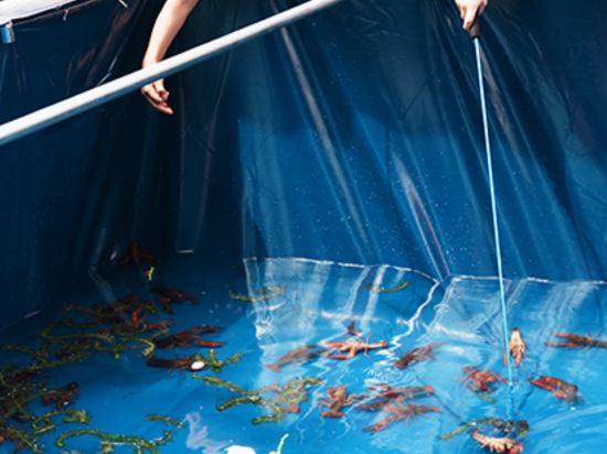 Фото Grand Hyatt Hangzhou