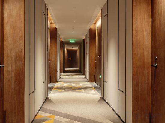 Фото 241097381949