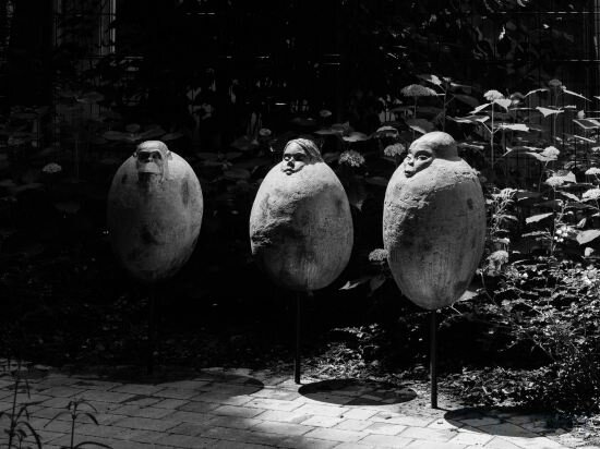 Фото Weltwien Apartments