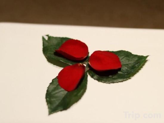 Фото Maximilan Beach Hotel