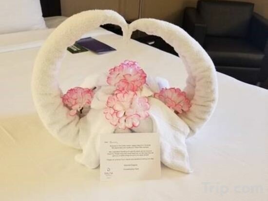 Фото Delta Hotels Calgary Airport In Terminal