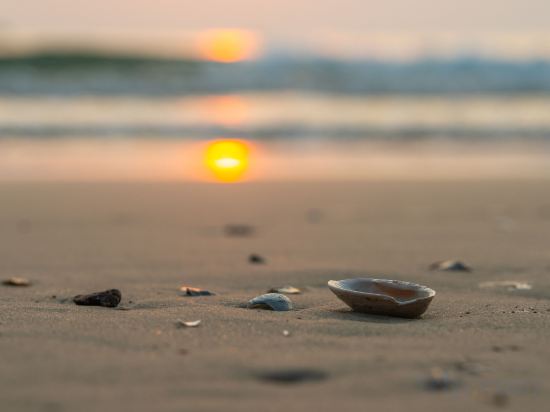 Фото Best Western Plus Carapace Hotel Hua Hin