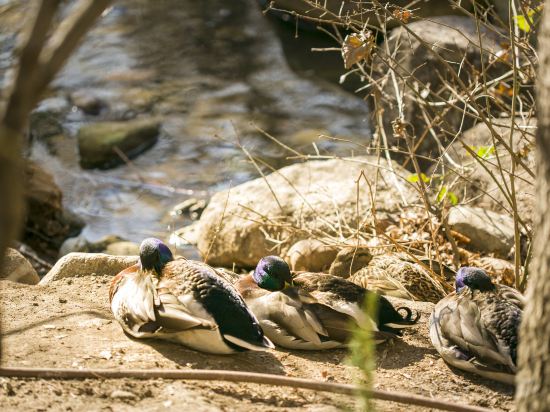 Фото Hotel Marinela Sofia