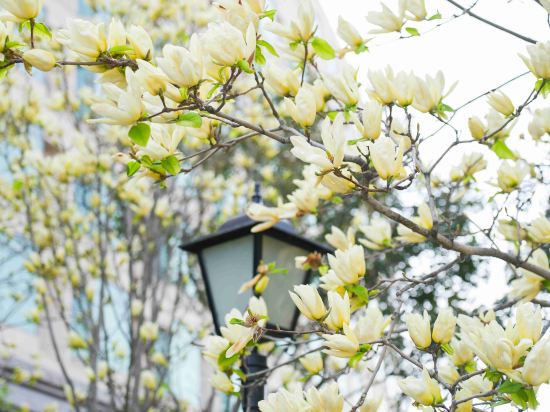 Фото 49132333548