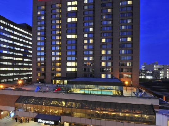 Фото Sheraton Hamilton Hotel