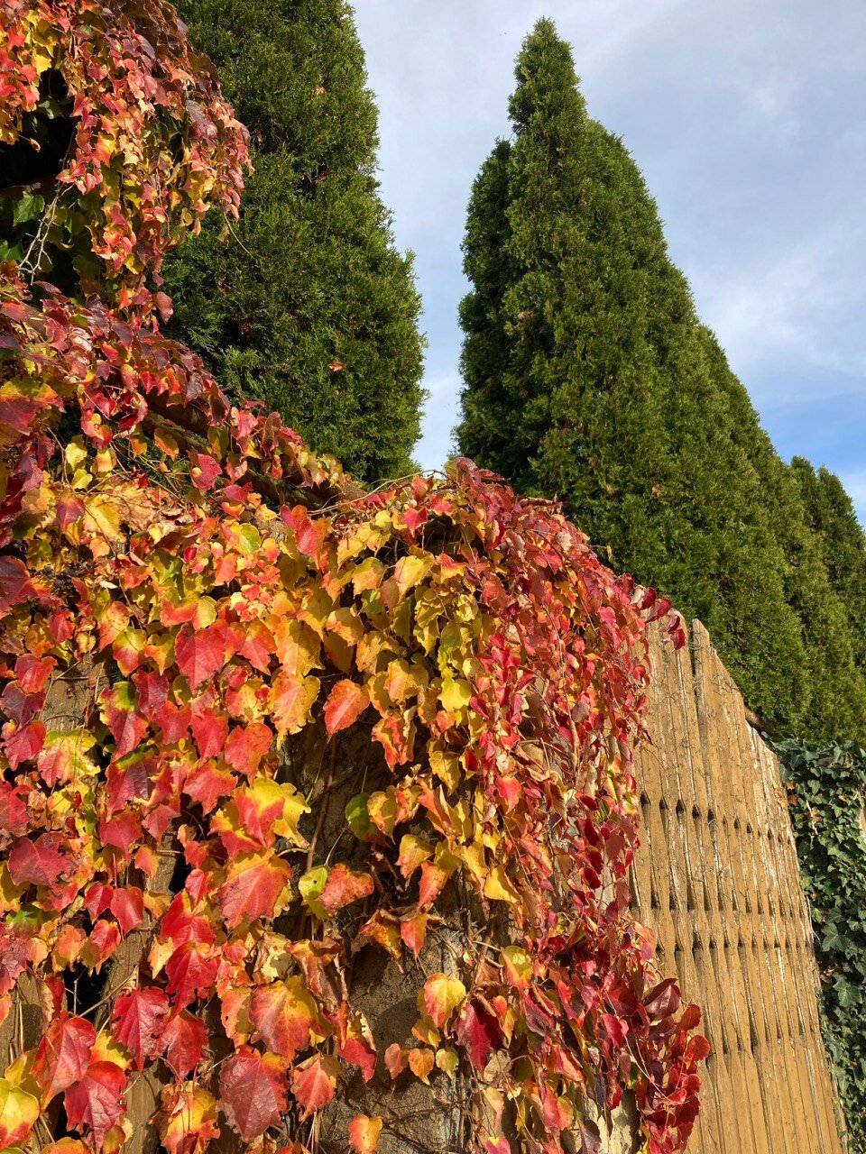 Фото Райский уголок