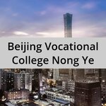 Study abroad (Moskovskiy Avenue, 53), studying abroad