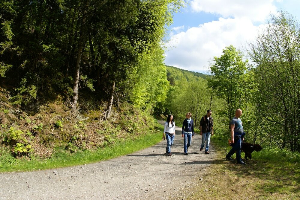 Фото Landhotel & Berggasthof Panorama