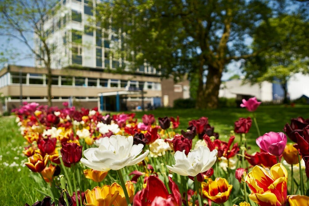 Фото Pension Homeland