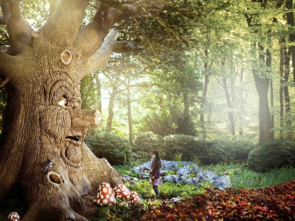 Фото Ibis Tilburg