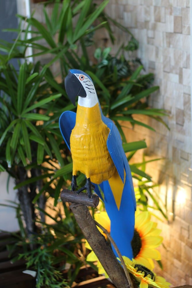 Фото Hotel Aeroporto Montese Star