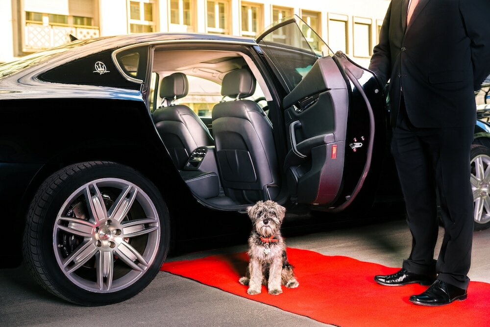 Фото Park Hyatt Zurich