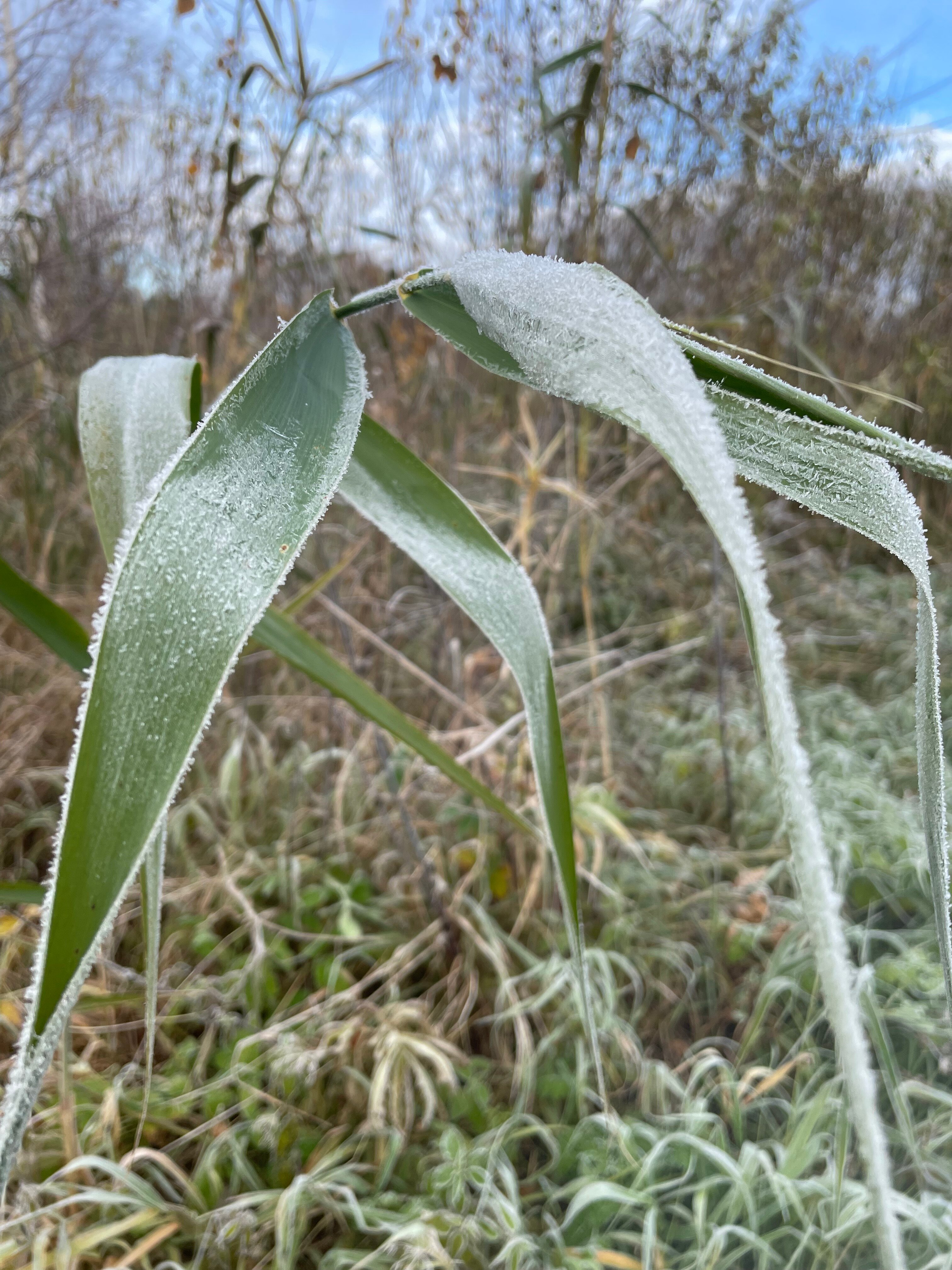 Фото Моя провинция