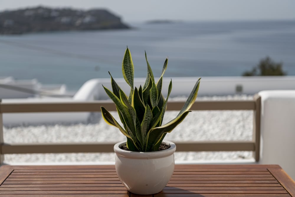 Фото Lithos by Spyros & Flora