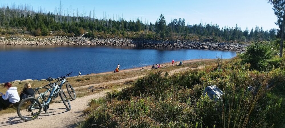 Фото Ringhotel Weißer Hirsch