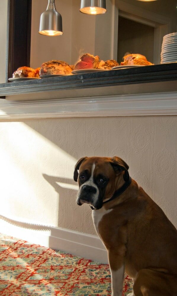 Фото Crofts Hotel