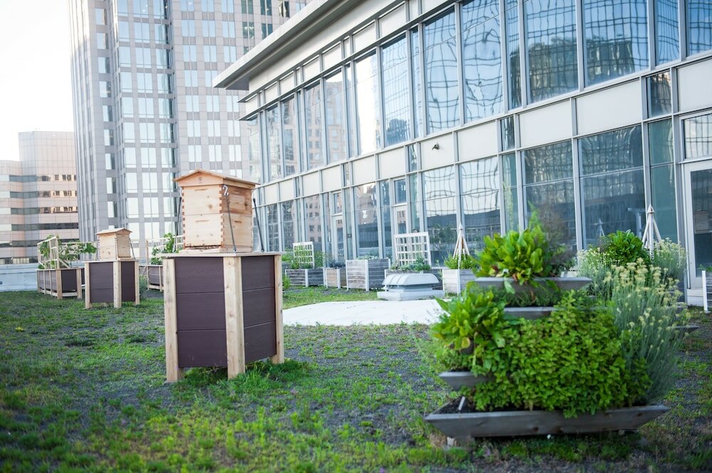 Фото The Ritz-Carlton, Charlotte