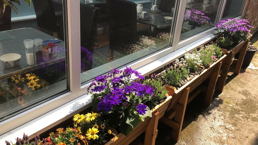 Фото The Promenade