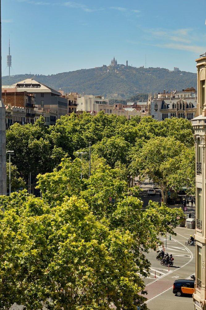 Фото 197786951936