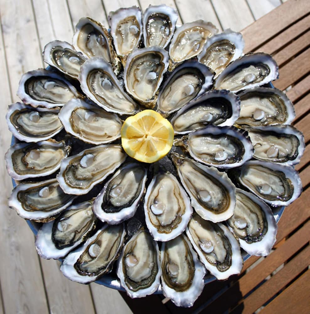 Фото Holiday Inn Bordeaux Sud Pessac by IHG