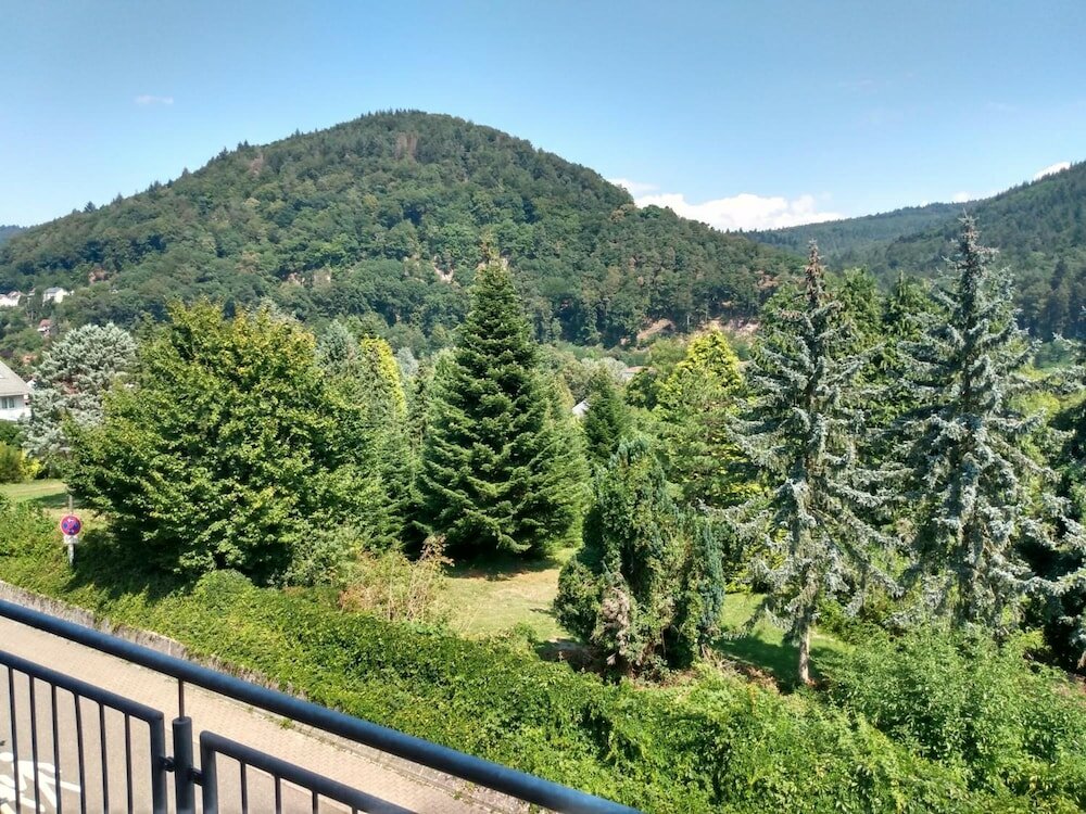 Фото Hotel Neckartal