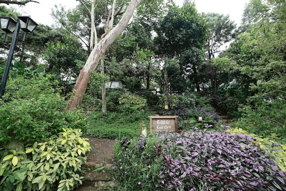 Фото La Bella Boutique Hotel