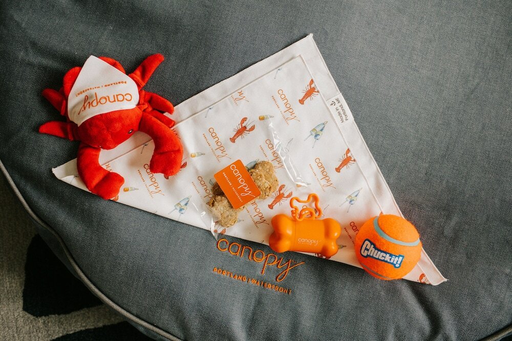 Фото Canopy by Hilton Portland Waterfront