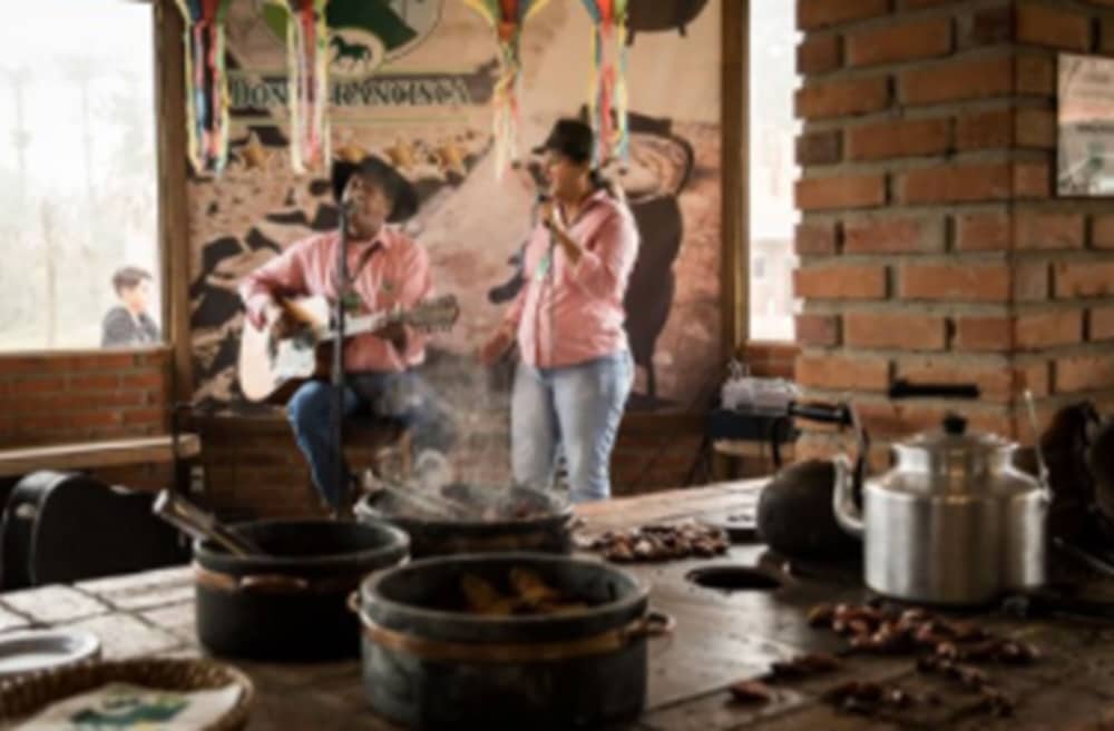 Фото Hotel Fazenda Dona Francisca